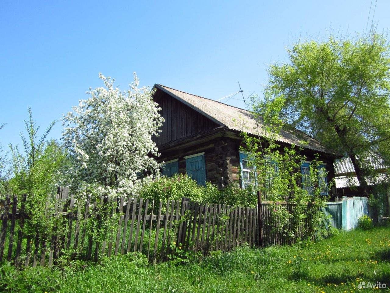 Купить Дом В Лесном Бийского Района