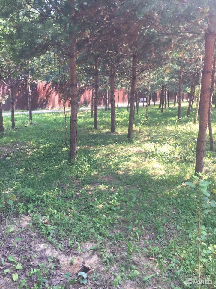 Купить Участок В Лесу В Красногорском Районе