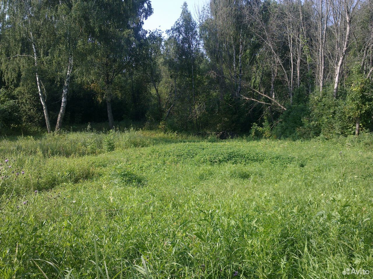 Участки в михнево