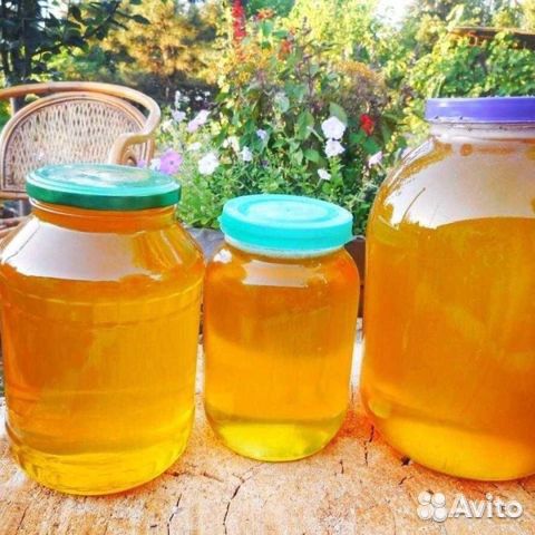 Настоящий мед купить на Зозу.ру - фотография № 1