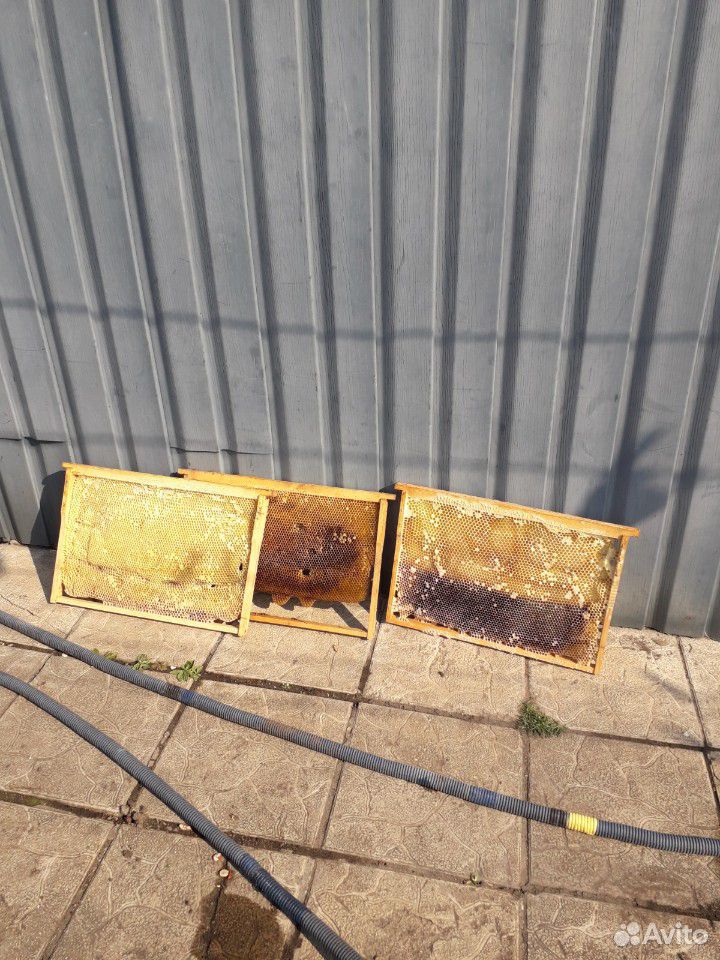 Рамка для пчел сушь Дадан купить на Зозу.ру - фотография № 1