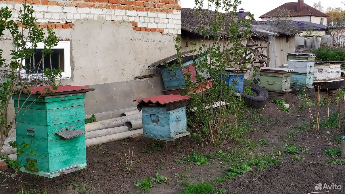 Пчелоинвентарь купить на Зозу.ру - фотография № 3