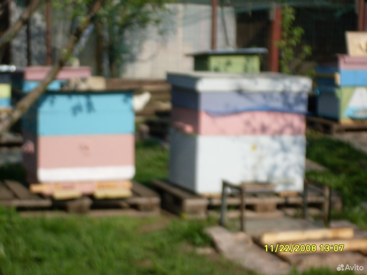 Пчёлы ульи ловушки купить на Зозу.ру - фотография № 6
