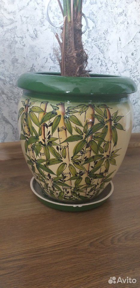 Пальма веерная в керамическом кашпо, 150 см купить на Зозу.ру - фотография № 2