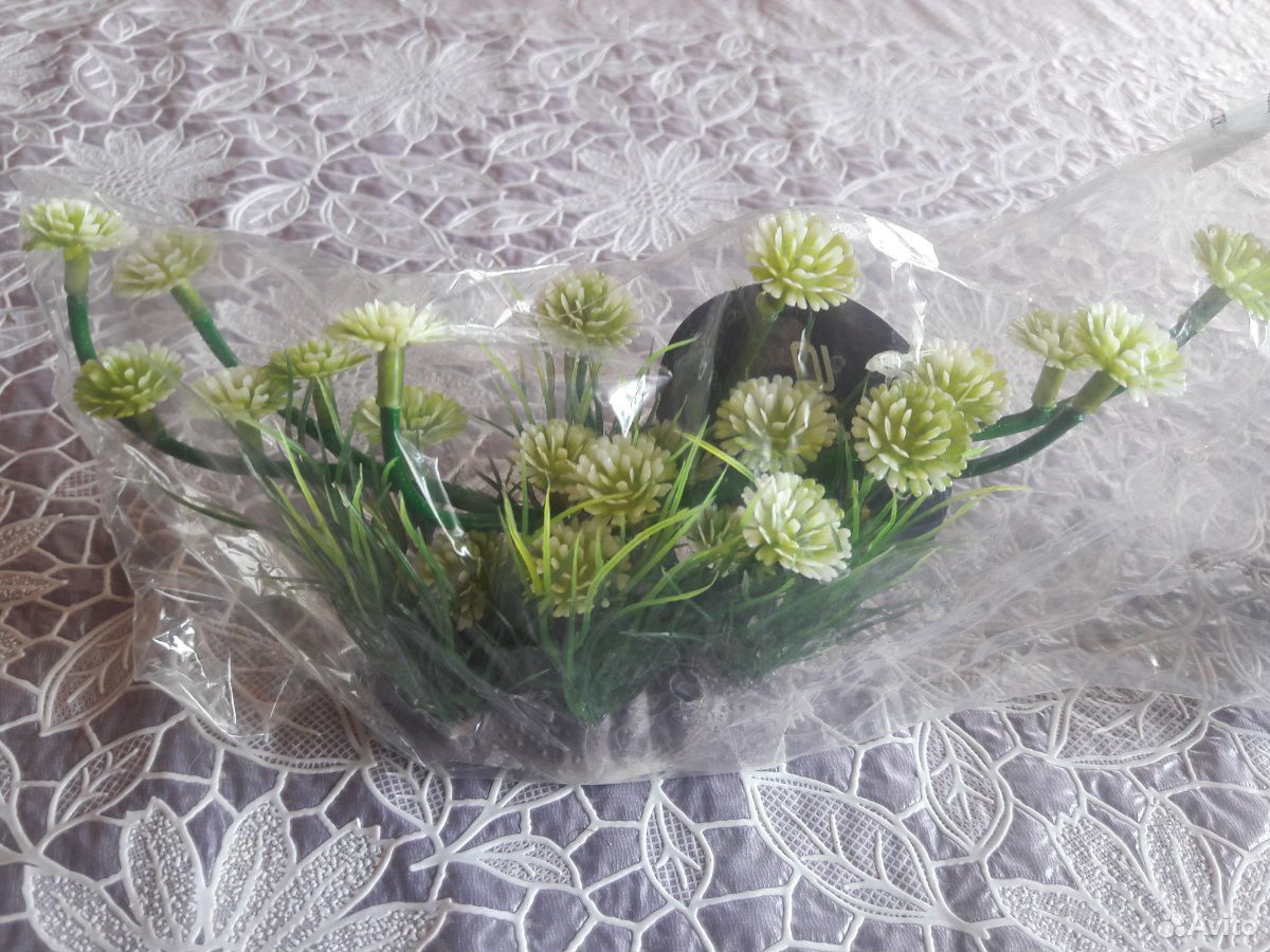Растения, фильтр купить на Зозу.ру - фотография № 2