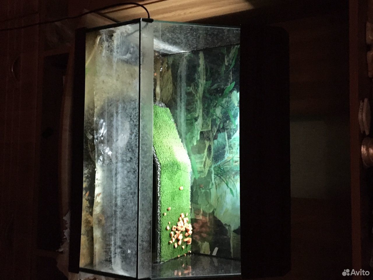 Черепаха с аквариумом и фильтром купить на Зозу.ру - фотография № 2