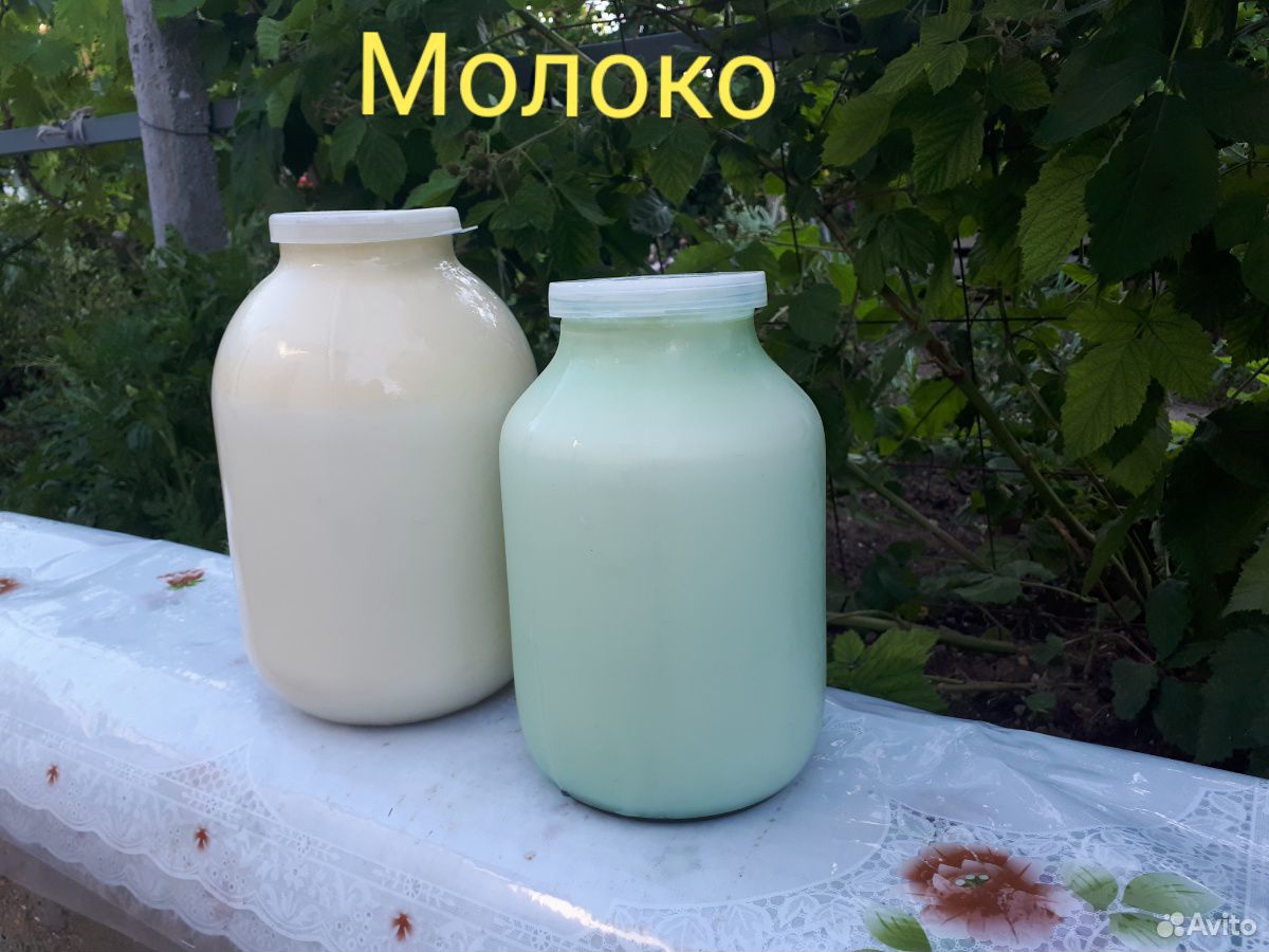 Молоко домашнее коровье купить на Зозу.ру - фотография № 1
