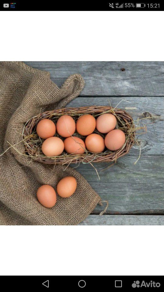 Яйца куриные,домашнее,вкусное купить на Зозу.ру - фотография № 2