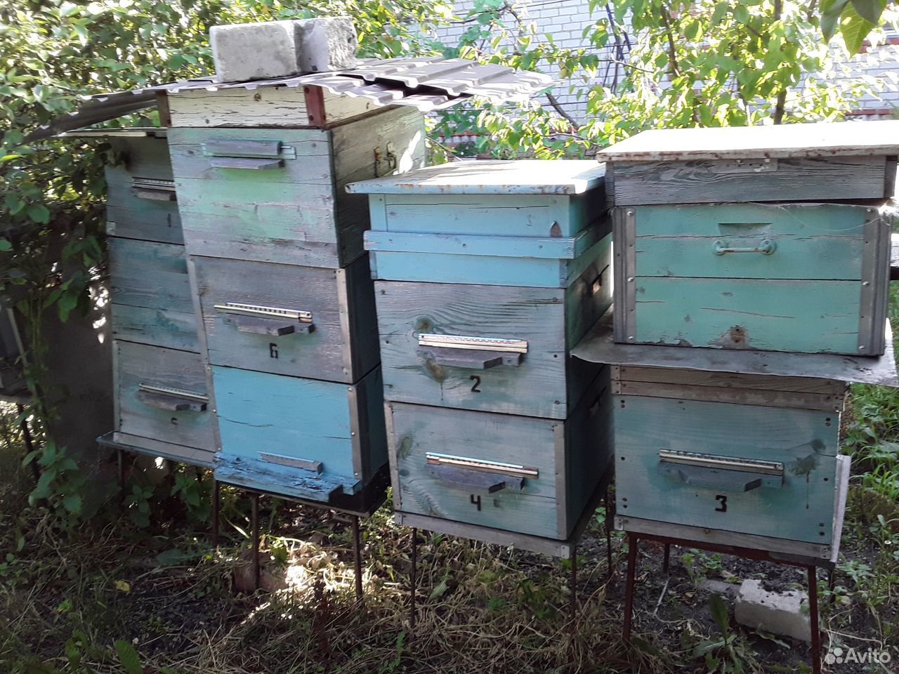 Пчелы и ульи купить на Зозу.ру - фотография № 8