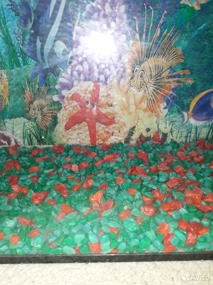 Продам аквариум 30л купить на Зозу.ру - фотография № 8
