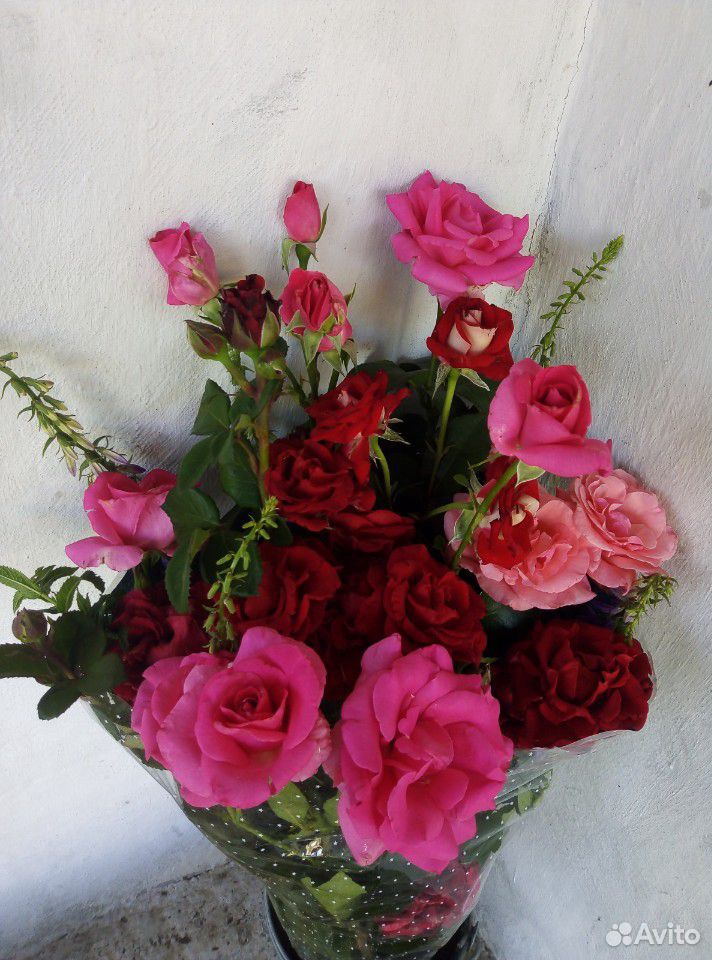 Розы Цветы, букет роз купить на Зозу.ру - фотография № 5
