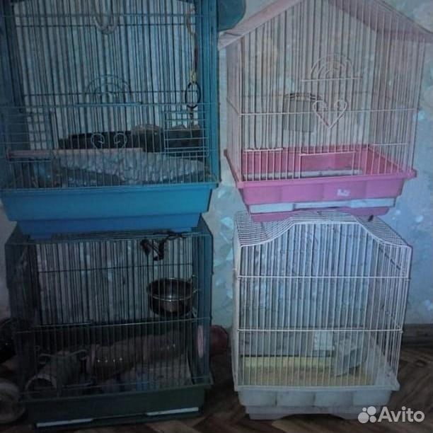 Клетки для птиц купить на Зозу.ру - фотография № 1
