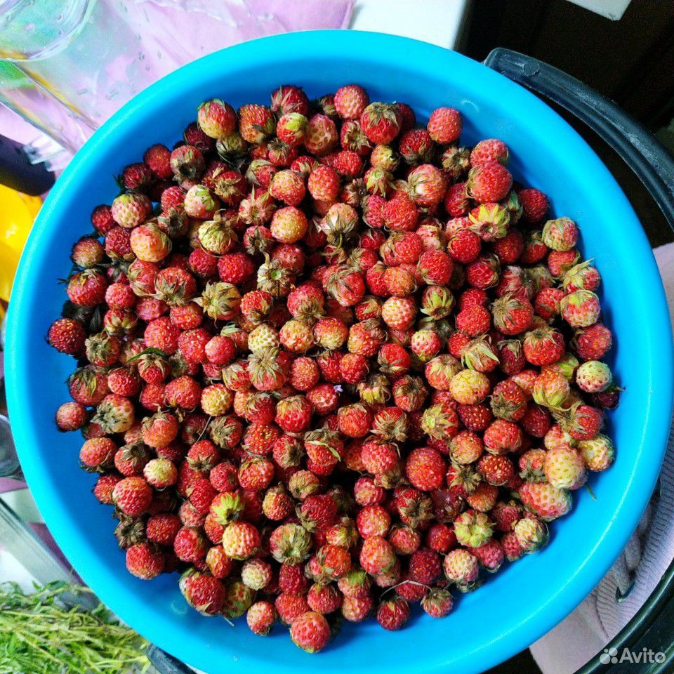 Лесные ягоды купить на Зозу.ру - фотография № 1