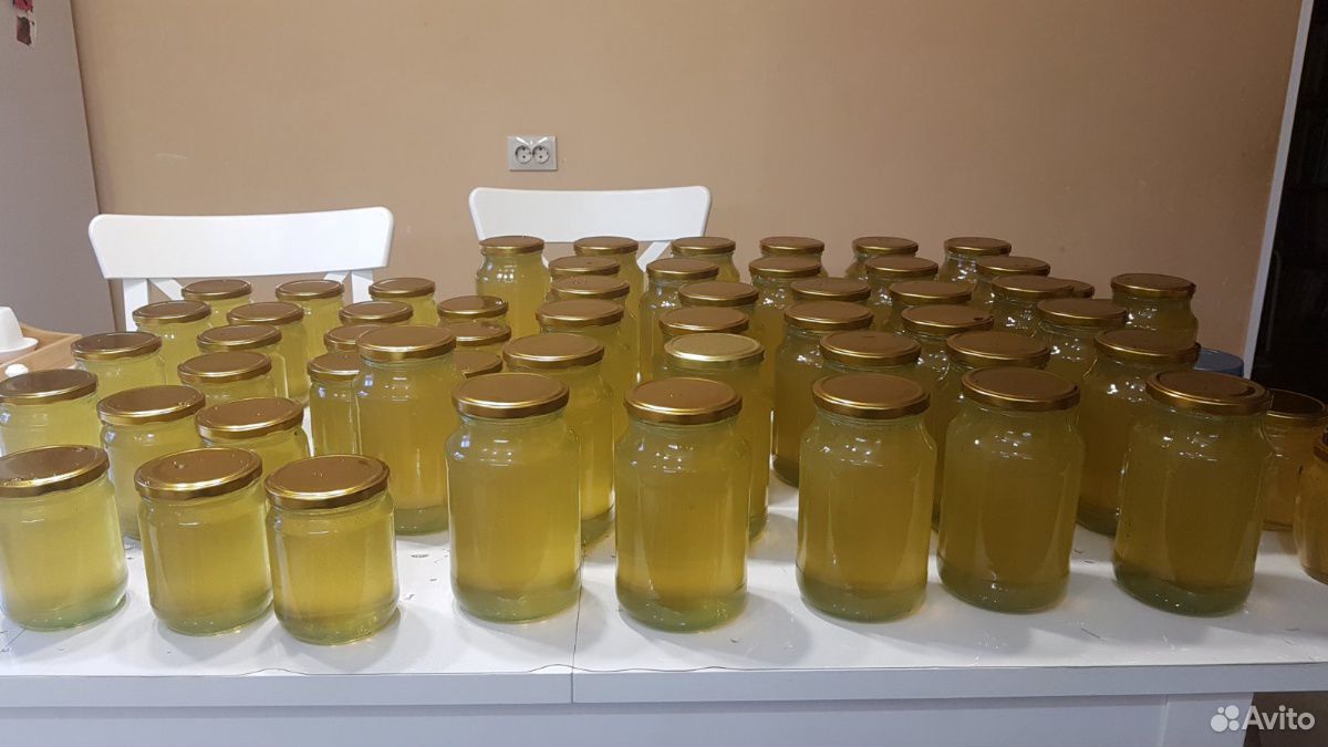 Чистейший Липовый мед (натуральный) купить на Зозу.ру - фотография № 1