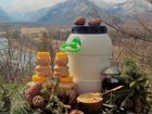 Соты мёд - Алтайское разнотравье объявление продам