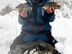 Рыбалка в Щеберино объявление продам