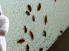 Уничтожение клопов, тараканов с гарантией 3 года объявление продам