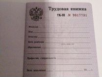 Тк 3 1. Трудовая книжка кладовщик 2020 Вива. Кинсбург Трудовая книга. Крымкова Наталья МАРЕЕВНА номер Трудовая книжка. Трудовая книжка ручка Ольга Васильева Таганрог.