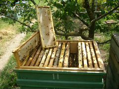 Пчеловодство.Хозяйство для пчеловодства (инвентарь