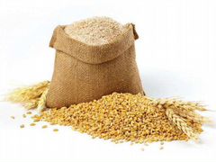 Пшеница и зерносмесь