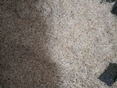 Песок в аквариум