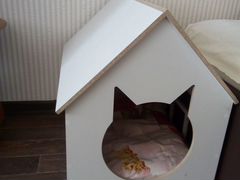 Продам домик для кошки или маленькой собачки