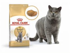 Корм для кошек Royal Canin Британская короткошерст
