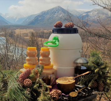 Соты мёд - Алтайское разнотравье