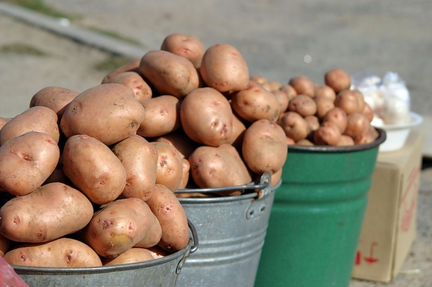 Картофель, картошка