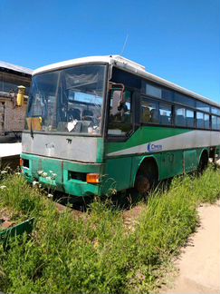 Автобусы марок Kia cosmos AM818-AW и asia motors c