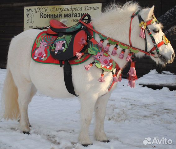 Амуниция для лошади, пони и всадников в Павловске