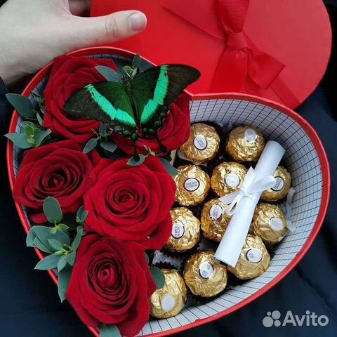 Живые бабочки и куколки