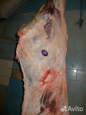 Мясо говядина в полутушах