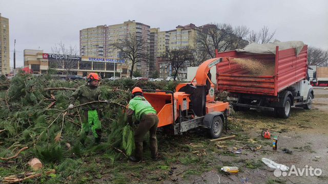 Требуется водитель BC категории