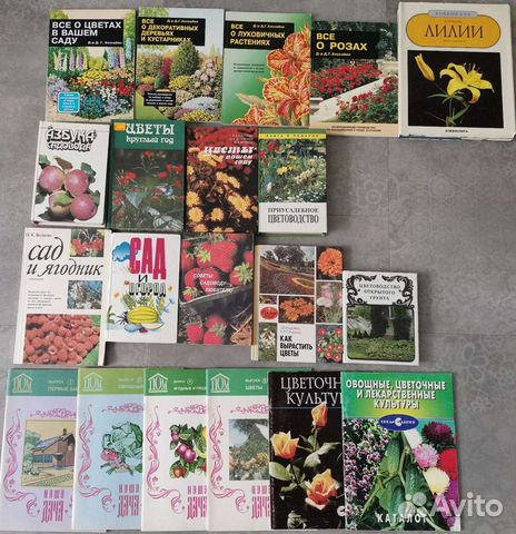 Книги для дачи