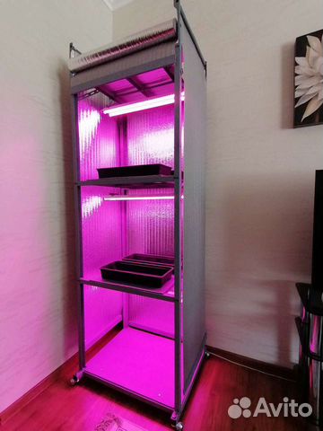 Домашний огород дл выращивания зелени, рассады