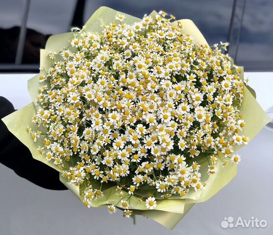 Ромашки Букет из ромашек доставка