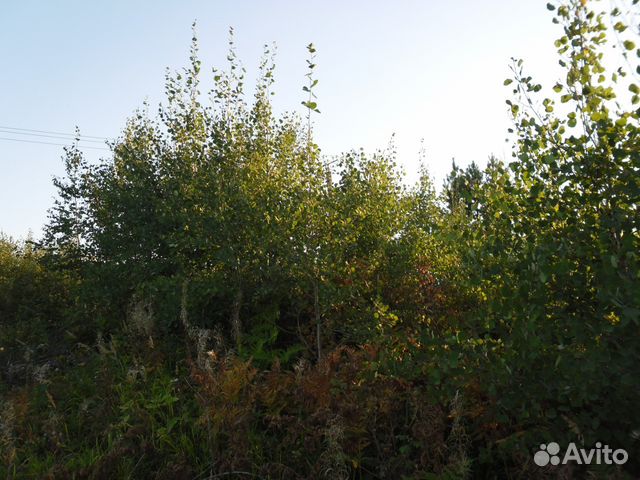 Участок 9.4 сот. (СНТ, ДНП)