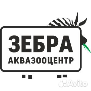 Обслуживание Установка Изготовление Аквариумов Обслуживание Установка Изготовление Аквариумов
