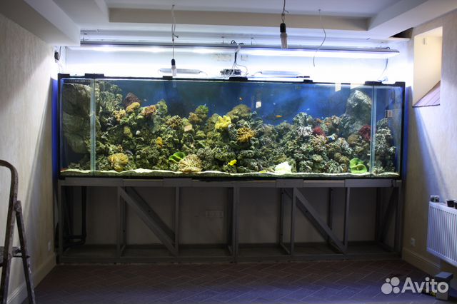 Морской аквариум 2240 литров купить на Зозу.ру - фотография № 3