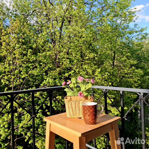 

1-к. квартира, 20 м², 2 кровати