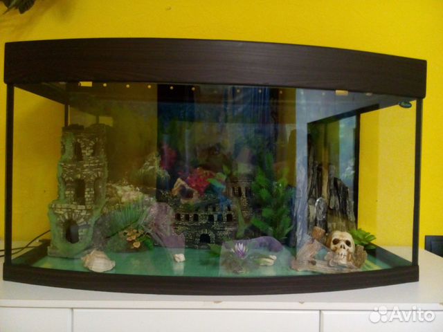 Полностью готовый аквариум купить на Зозу.ру - фотография № 3