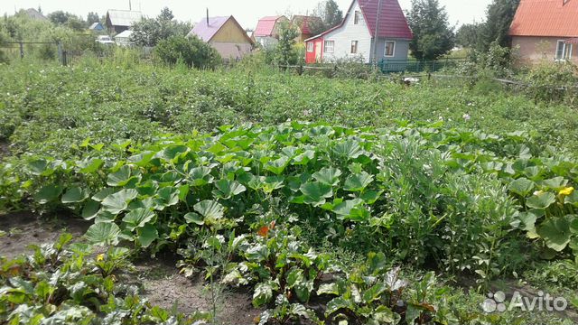 Купить Дачу В Коченево Дешево