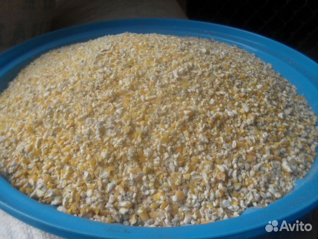Кукуруза дробленная \ корма (в мешках) купить на Зозу.ру - фотография № 1
