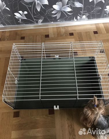Клетка