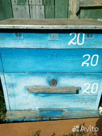 Продаю ульи, пчелосемьи, рамки купить на Зозу.ру - фотография № 4