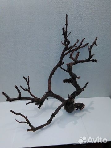 Коряги для аквариума, террариума Коряги для аквариума, террариума