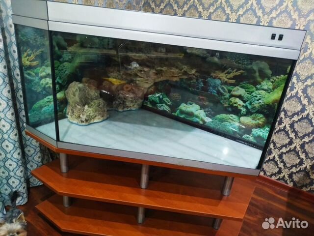 Аквариум 400 литров и 200л Аквариум 400 литров и 200л