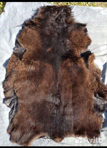 Шкуры овчины