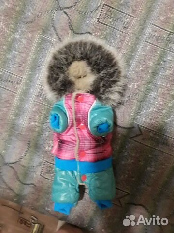 Комбинезон для щенков Комбинезон для щенков